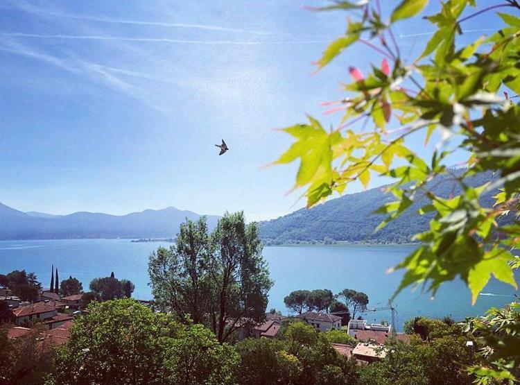 Giuseppe B&B Sarnico Exteriér fotografie